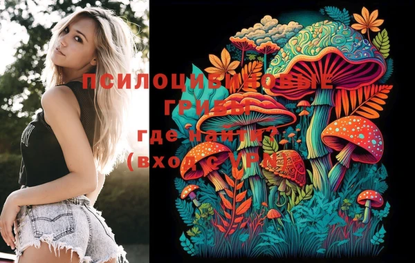 MDMA Елизово