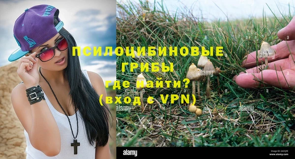 MDMA Елизово