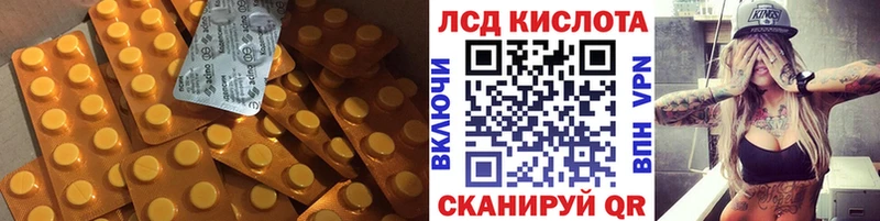 Купить закладки  Задонск  ЛСД экстази ecstasy 